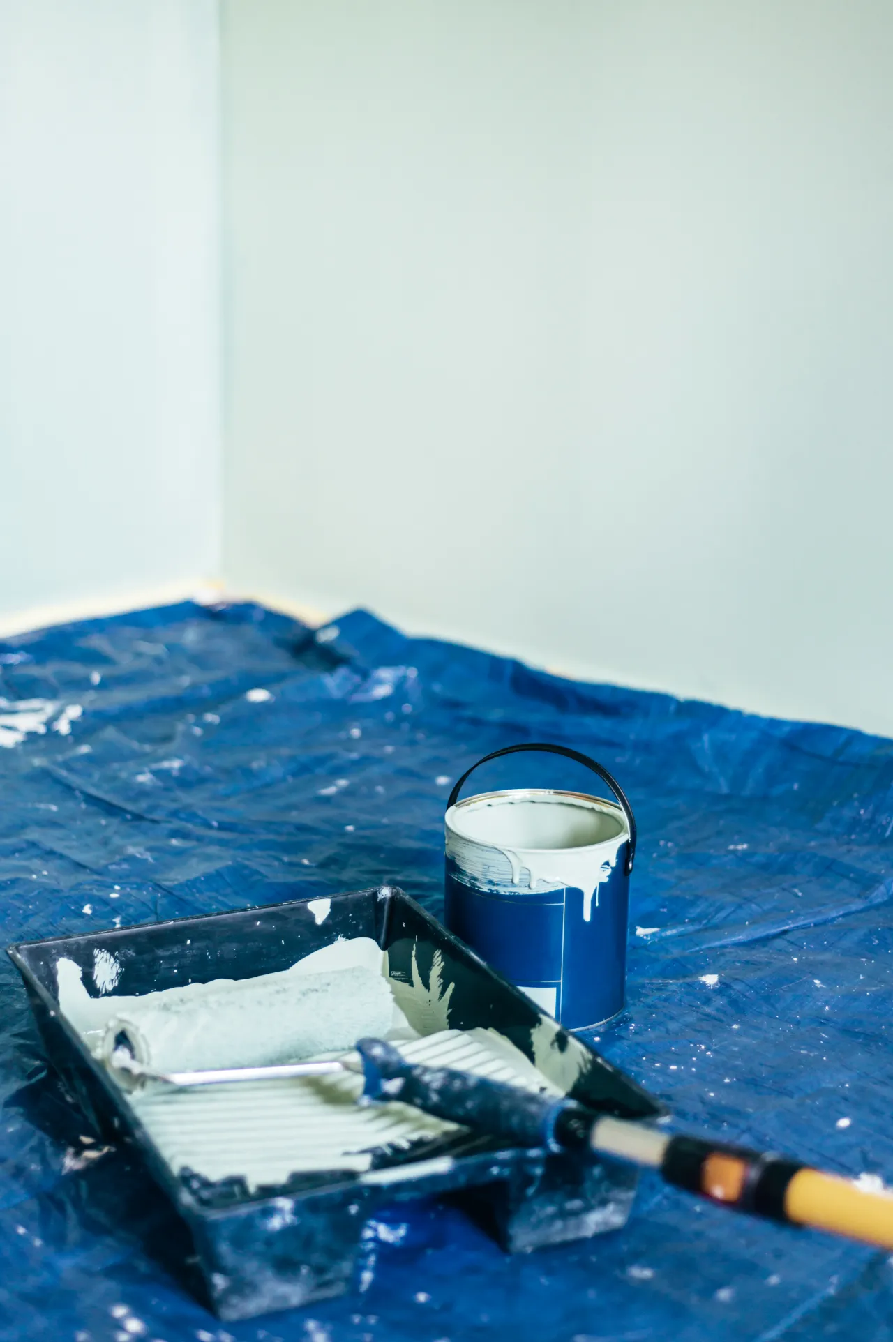 Paint, roller and tray ready for the job